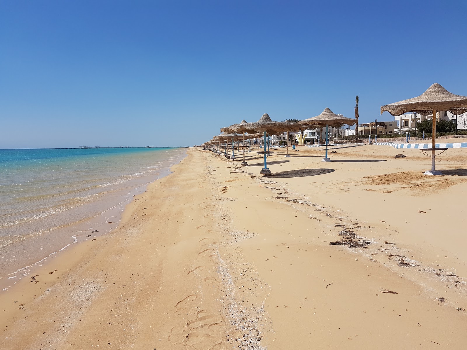 Photo of Golden beach with bright sand surface