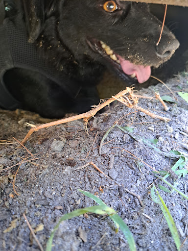 State Park «Breakheart Reservation», reviews and photos, 177 Forest St, Saugus, MA 01906, USA