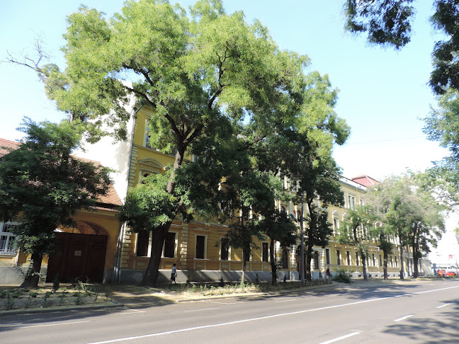 Hozzászólások és értékelések az Svetits Katolikus Óvoda, Általános Iskola, Gimnázium és Kollégium-ról