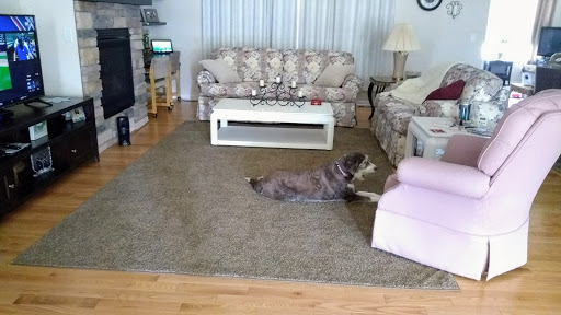 Home Improvement Store «The Home Depot», reviews and photos, 550 N Edwards Blvd, Lake Geneva, WI 53147, USA