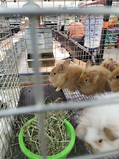 Department Store «Rural King», reviews and photos, 1141 Fort Campbell Blvd, Clarksville, TN 37042, USA