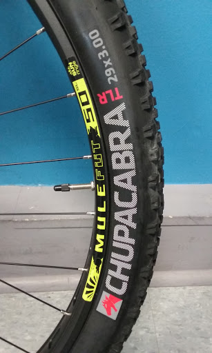 Bicycle Rental Service «Genesis Bicycles», reviews and photos, 126 Bushkill St, Easton, PA 18042, USA