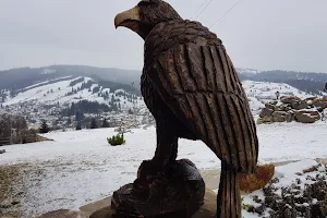 Cabana Vultur image