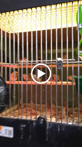 Pet Supply Store «Pet Supplies Plus», reviews and photos, 5161 Gull Rd, Kalamazoo, MI 49048, USA