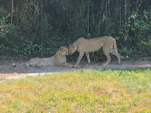 Zoo «Virginia Zoological Park», reviews and photos, 3500 Granby St, Norfolk, VA 23504, USA