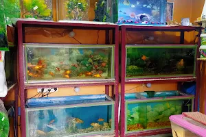 Om Aquarium image