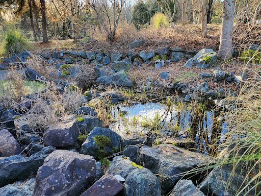 Golf Course «Willows Run Golf Complex», reviews and photos, 10402 Willows Rd, Redmond, WA 98052, USA