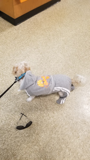 Pet Supply Store «PetSmart», reviews and photos, 4151 Turtle Creek Dr, Coral Springs, FL 33067, USA