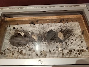 Bell County Museum - photo 66