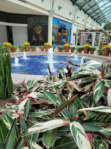 Department Store «JCPenney», reviews and photos, 231 Greece Ridge Center Dr, Greece, NY 14626, USA