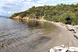 Zdjęcie Palud beach z poziomem czystości dość czysty
