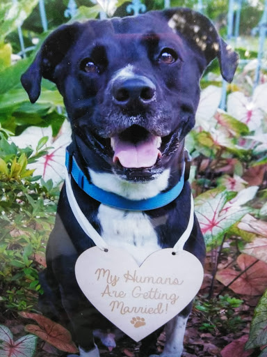 Wedding Venue «Saxon Manor Weddings & Events», reviews and photos, 103 S Saxon Ave, Brooksville, FL 34601, USA