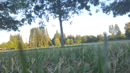 Park «Reedville Creek Park», reviews and photos, 7500 SE Frances St, Hillsboro, OR 97123, USA