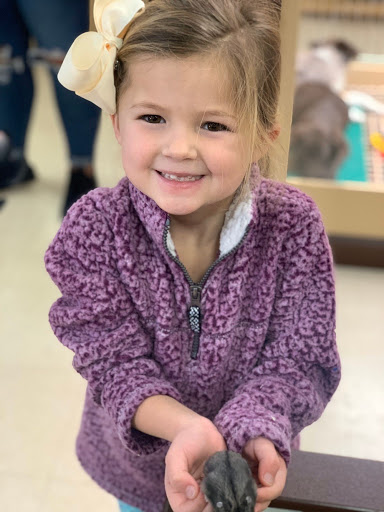 Pet Store «Petland», reviews and photos, 920 Hebron Rd, Heath, OH 43056, USA