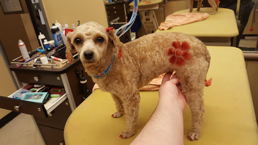 Pet Supply Store «PetSmart», reviews and photos, 198 Promenade Blvd, Flowood, MS 39232, USA