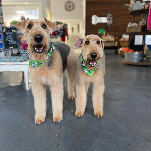 Pet Groomer «The Fetch House», reviews and photos, 130 W Washington St, Madison, GA 30650, USA