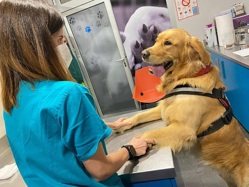 P.a.c. Veterinario San Lázaro en Santiago de Compostela