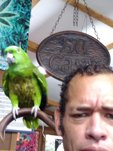 Boutique «Su Casa Boutique», reviews and photos, 1041 N Cedar St, Lansing, MI 48906, USA