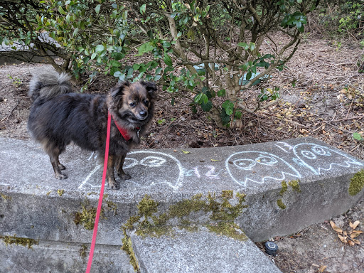 Park «EVERGREEN PARK», reviews and photos, 2615 NW 194th Terrace, Hillsboro, OR 97124, USA