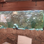 Photo n°1 de l'avis de Giuseppe.e fait le 13/01/2020 à 16:21 sur le  Ristorante-Pizzeria-Antica Taverna Cantatore-Padula-provincia Salerno à Padula