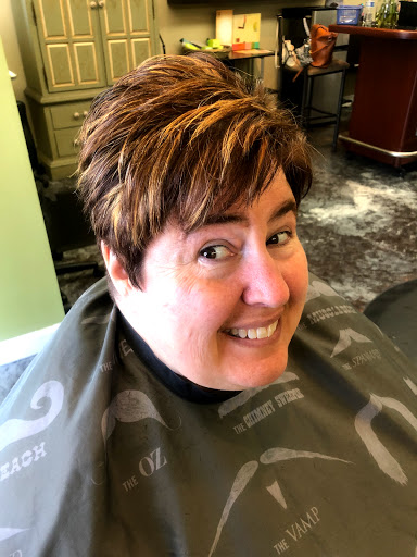 Hair Salon «True Salon», reviews and photos, 1620 W Northwest Hwy, Arlington Heights, IL 60004, USA