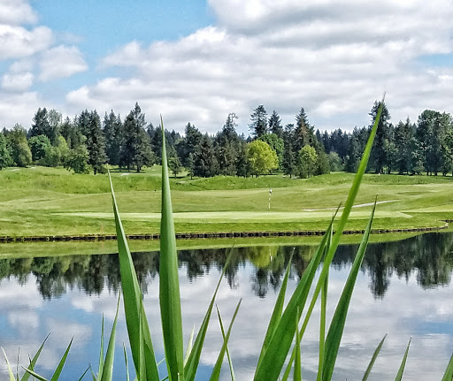 Golf Course «Pumpkin Ridge Golf Club», reviews and photos, 12930 NW Old Pumpkin Ridge Rd, North Plains, OR 97133, USA