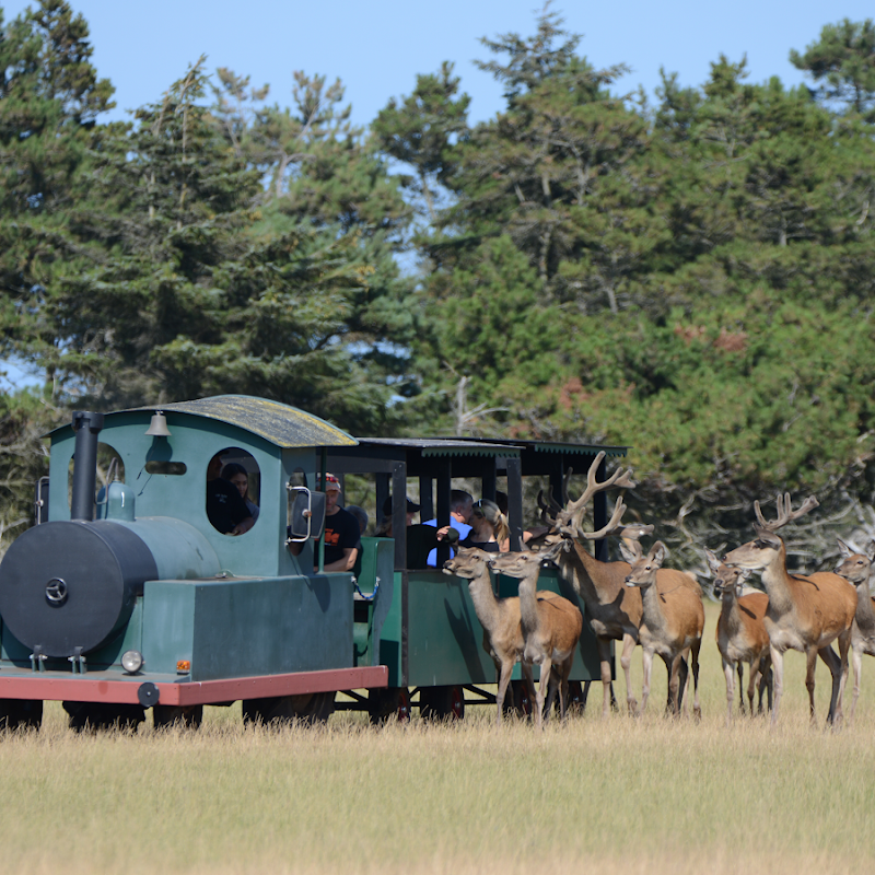 Fun-Park Hirtshals