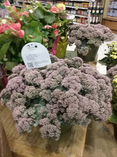 Supermarket «Publix Super Market at Pelham Commons», reviews and photos, 215 Pelham Rd, Greenville, SC 29615, USA