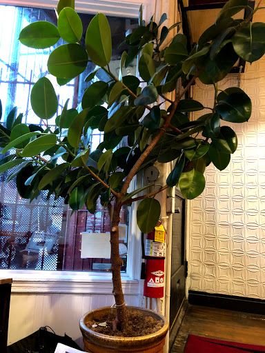 Coffee Shop «White Electric Coffee», reviews and photos, 711 Westminster St, Providence, RI 02903, USA