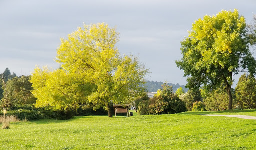 Park «Genesee Park and Playfield», reviews and photos, 4316 S Genesee St, Seattle, WA 98118, USA