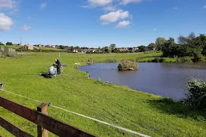 Mill Hill Fishery image