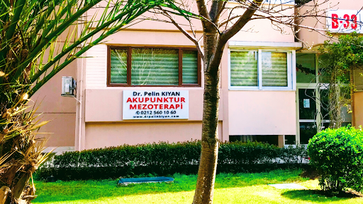Acupuncture courses Istanbul