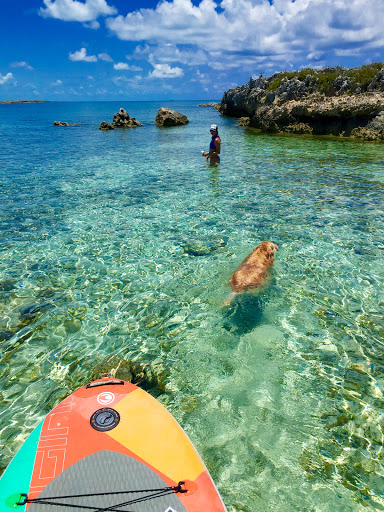 Sporting Goods Store «Adventure Sports», reviews and photos, 2750 SW 26th Ave, Miami, FL 33133, USA