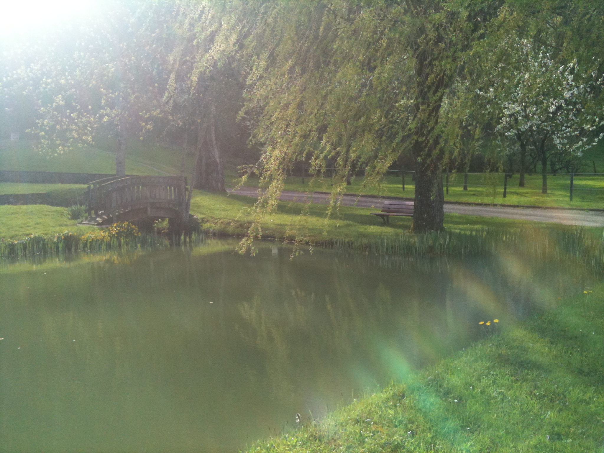 Photo n° 17 de l'avis de Marc.i fait le 24/09/2017 à 12:50