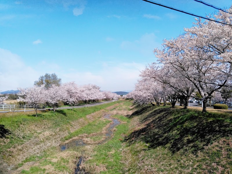 桜見台
