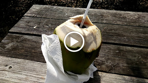 Shopping Mall «Riverview Oaks Shopping Center», reviews and photos, 9620 US-301, Riverview, FL 33578, USA