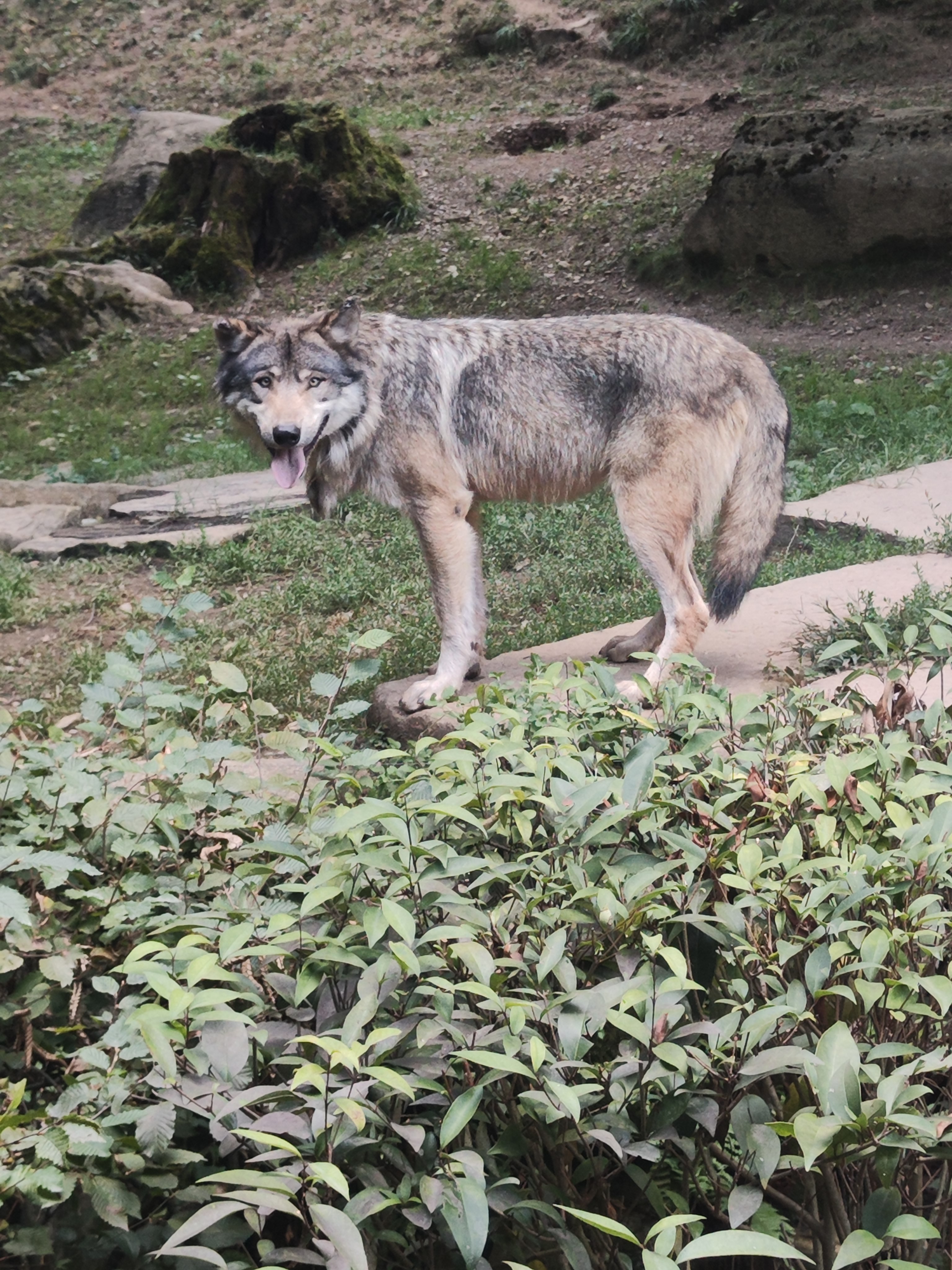 Photo n° 5 de l'avis de Audrey.a fait le 16/08/2023 à 08:01