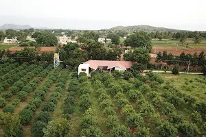 The Mango Tree Farmhouse image