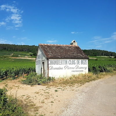 Maume Domaine à Gevrey-Chambertin