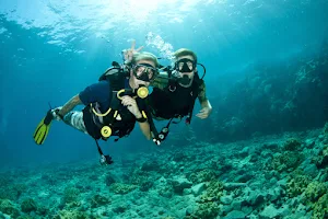 Bond Safari Scuba Diving image