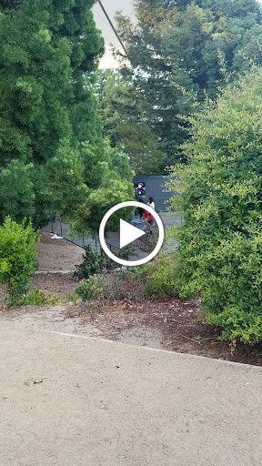 Event Venue «Shoreline Amphitheatre», reviews and photos, 1 Amphitheatre Pkwy, Mountain View, CA 94043, USA