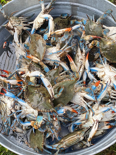 La crab kings