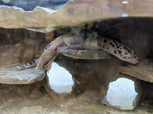 Pet Supply Store «Petco Animal Supplies», reviews and photos, 5263 Campbell Blvd, Nottingham, MD 21236, USA