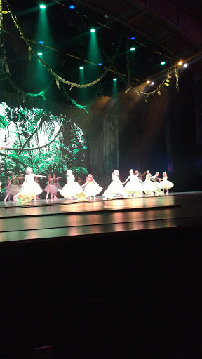 Performing Arts Theater «The Franklin Performing Arts Center», reviews and photos, 2600 Cumberland Dr, Franklin, IN 46131, USA