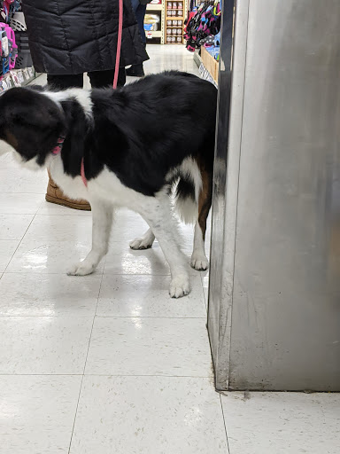 Pet Supply Store «Pet Supplies Plus», reviews and photos, 4505 S 76th St, Greenfield, WI 53220, USA