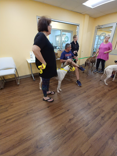 Pet Supply Store «PetPeople», reviews and photos, 3330 Washtenaw Ave, Ann Arbor, MI 48104, USA