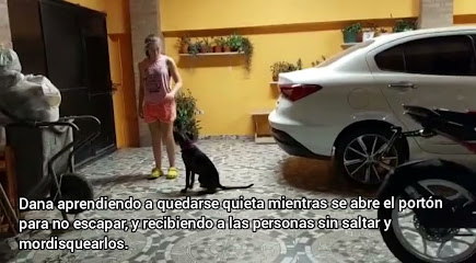 Taragui Adiestramiento Canino & Felino