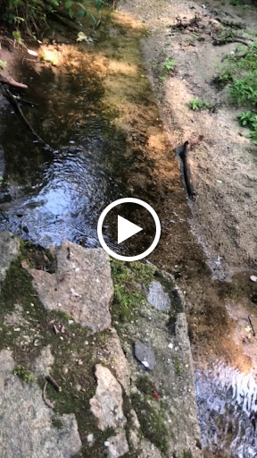 Nature Preserve «Welwyn Preserve», reviews and photos, 100 Crescent Beach Rd, Glen Cove, NY 11542, USA