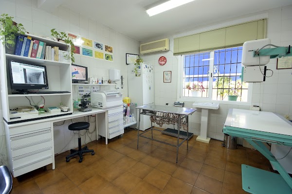 Clínica Veterinaria Pedregalejo