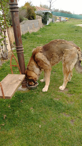 Clínica Veterinaria Virgen del Camino en La Virgen del Camino